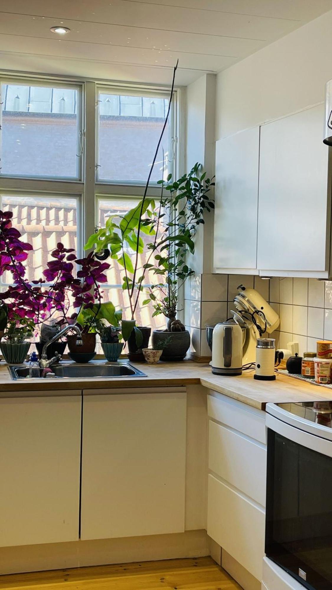 Apartmentincopenhagen 1610 Apartment